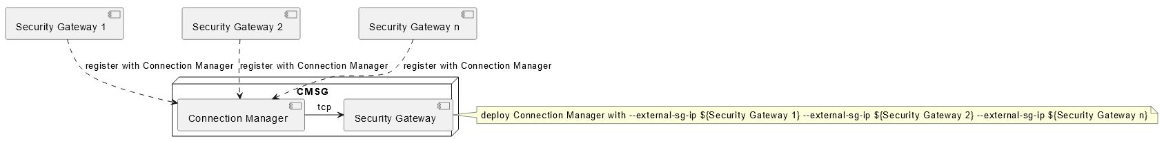 CMSG Multiple Gateway2