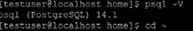 PostgreSQL Version Verification