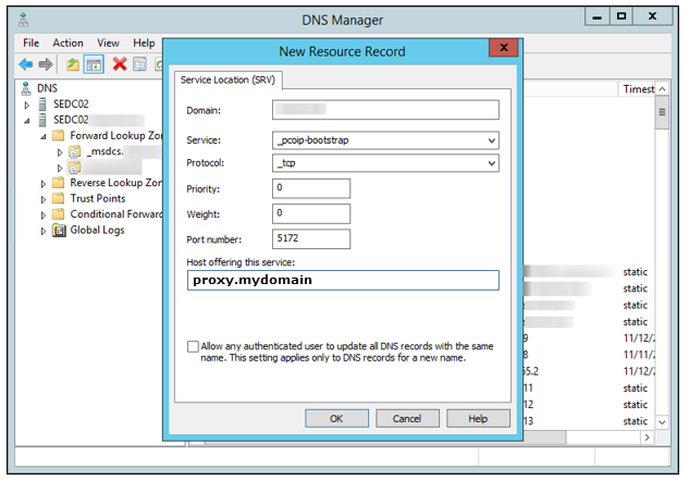 Reverse Proxy DNS SRV Record