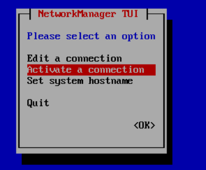NMTUI Activate Connection