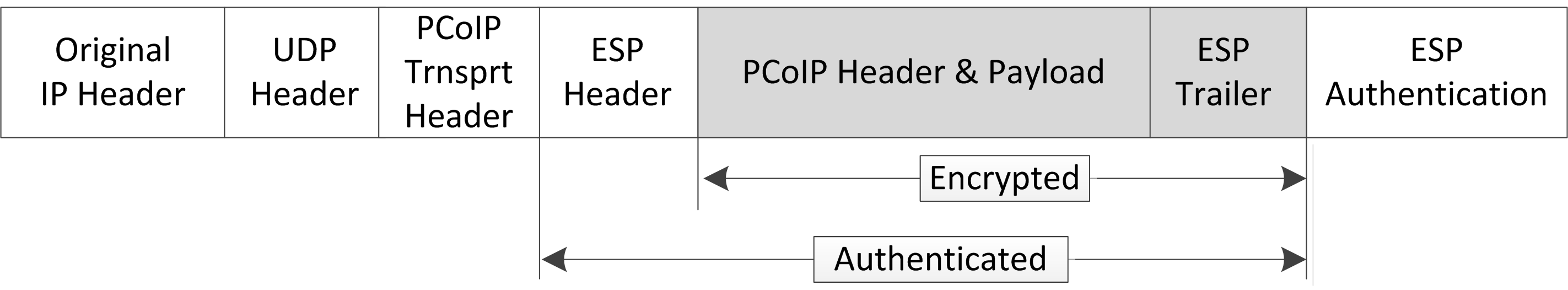 UDP IPSec ESP Packet Format