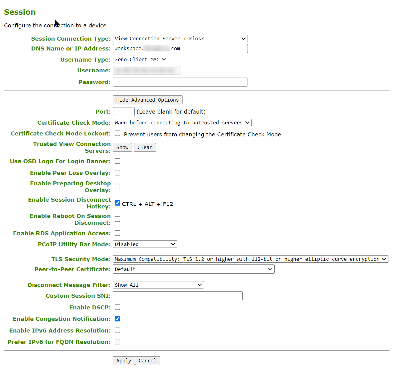 AWI View Connection Server Session Configuration